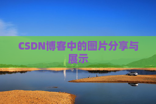 CSDN博客中的图片分享与展示